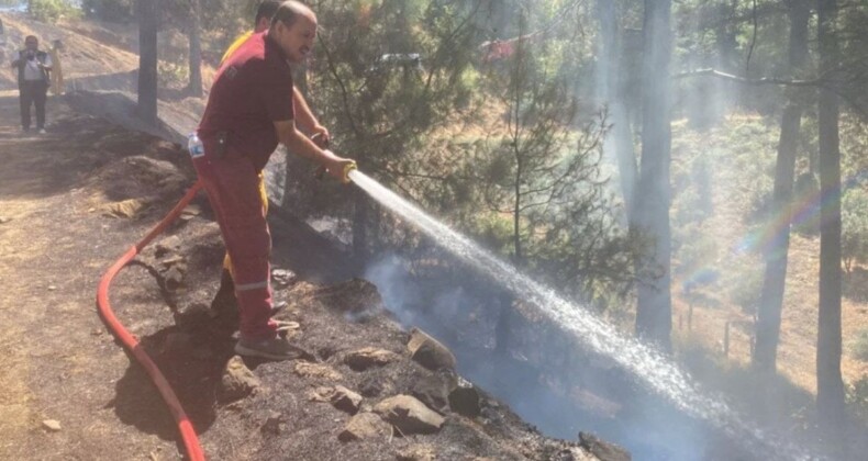 4 ilde orman yangını çıktı: Müdahale sürüyor