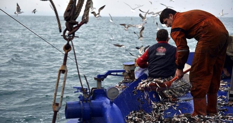 İstanbul’da balıkçılar yeni sezondan umutlu: Yasak 1 Eylül’de kalkacak