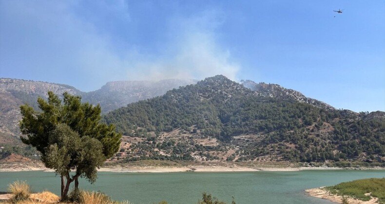 Muğla’da orman yangını çıktı