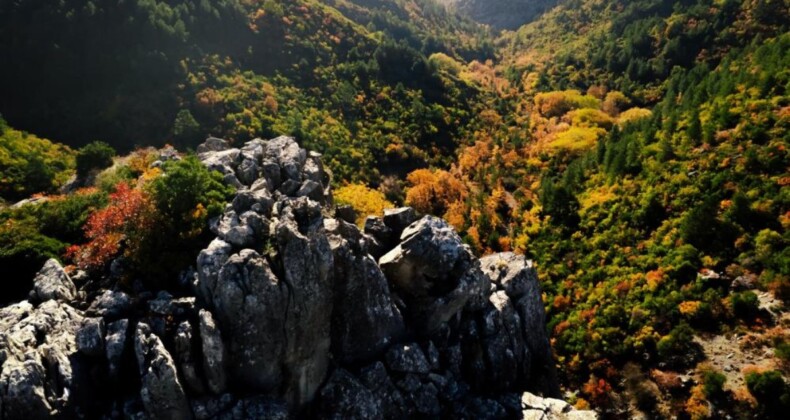 Manisa Spil Dağı’nda sonbahar