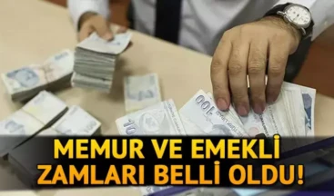 Memur ve emeklilerin zam oranı belli oldu (Hangi memur ne kadar maaş alacak? 2025 yılı memur maaşları)