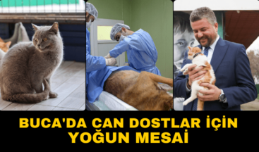 Buca’da can dostlar için yoğun mesai