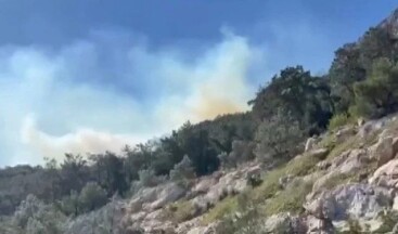 Son dakika… Antalya’da orman yangını, ekipler sevk edildi