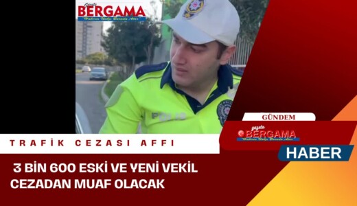 3 BİN 600 ESKİ VE YENİ VEKİL CEZADAN MUAF OLACAK