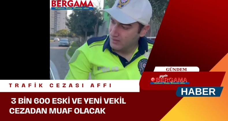 3 BİN 600 ESKİ VE YENİ VEKİL CEZADAN MUAF OLACAK